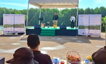 DLH Batam Tanam 1.700 Mangrove di Tanjung Piayu, 34 Perusahaan Bersatu Jaga Lingkungan