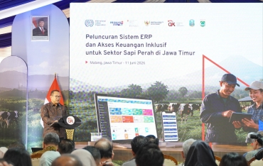 OJK DAN ILO LUNCURKAN ENTERPRISE RESOURCE PLANNING, TINGKATKAN AKSES PEMBIAYAAN PETERNAK SAPI PERAH