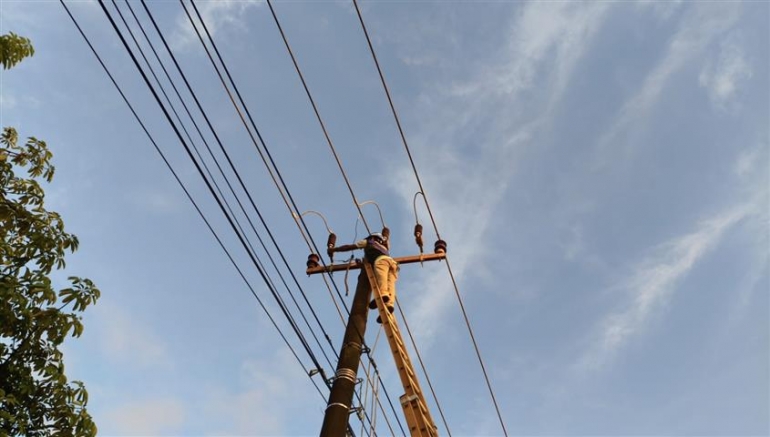 Listrik PLN Batam di Piayu Padam Akibat Layang-Layang dan Pohon Tumbang